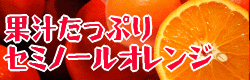 ���ߥΡ��륪��󥸢�