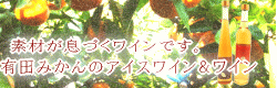 ͭ�Ĥߤ���磻����������磻��