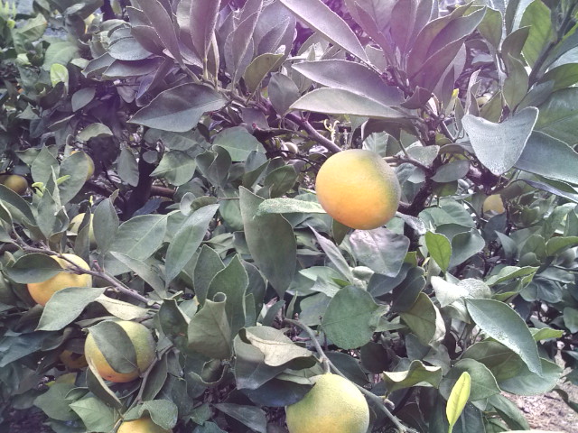 �������ߤ���